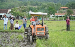 Thú vị xem nông dân xứ Quảng tranh tài cày ruộng