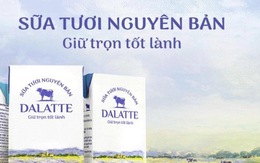 Định nghĩa nguyên bản và kỳ vọng tại thị trường sữa Việt Nam của DALATTE