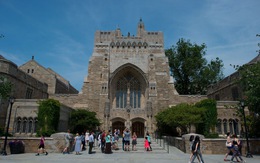 Yale, Harvard rút khỏi xếp hạng các trường luật tốt nhất của U.S.News & World Report