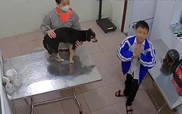 Cậu bé chắp tay cầu nguyện khi chó cưng ốm nặng