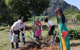 Trồng cây ở Cát Bà hưởng ứng sáng kiến trồng 1 tỉ cây xanh