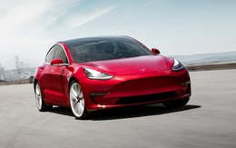 Tesla sụt giảm mạnh thị phần: Tín hiệu tích cực của thị trường ô tô điện