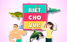 Biết cho vui: những điều thú vị nho nhỏ trong cuộc sống mà có thể bạn đã biết