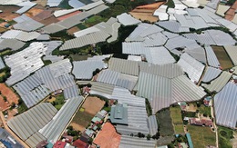 Lâm Đồng chi hơn 178 tỉ đưa nhà kính ra khỏi nội ô Đà Lạt