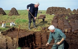 Người Ireland sử dụng lại than bùn để chống rét vì giá nhiên liệu đắt đỏ