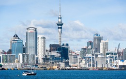 'Ba triệu chai nhựa' trút xuống thành phố Auckland của New Zealand trong một năm