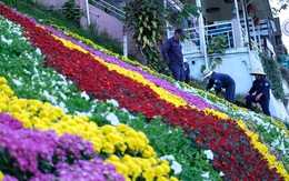 Đà Lạt dùng 500.000 chậu hoa trang điểm phố phường chờ khai mạc Festival Hoa