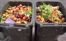 Mỹ: Vận dụng khoa học vào việc chống lãng phí thực phẩm