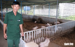 Cựu chiến binh 'hái quả ngọt' trên vùng đất khó Ninh Thuận
