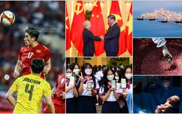 Việt Nam 2022: Những hình ảnh ấn tượng
