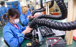 TP.HCM: 96% lao động trở lại làm việc sau Tết