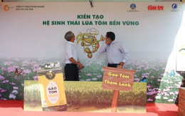 Sản phẩm "lúa thơm - tôm sạch" vừa lên kệ đã nhộn nhịp người quan tâm