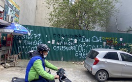 Hà Nội, TP.HCM nhiều trường hợp bỏ cọc sau đấu giá nhưng chưa gửi báo cáo rà soát