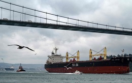 LHQ tìm 'lối ra' cho các tàu mắc kẹt vì xung đột tại Ukraine