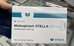 Thuốc Molnupiravir miễn phí sắp hết, Sở Y tế TP.HCM xin được mua