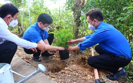 'Chủ nhật xanh' giải quyết ô nhiễm môi trường trên các nẻo đường