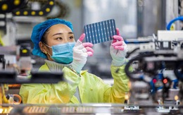 Mỹ điều tra nghi vấn công ty pin mặt trời Trung Quốc trốn thuế