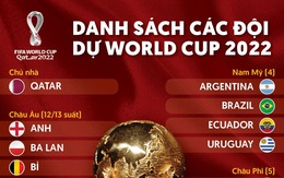 Danh sách các đội đã giành quyền dự World Cup 2022