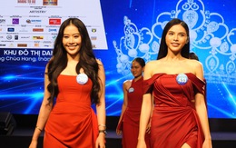 Hoa hậu Lương Thùy Linh muốn người kế nhiệm 'không hoàn hảo cũng phải xinh đẹp, có học thức'
