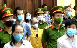12 thành viên, ủng hộ viên của tổ chức khủng bố 'Chính phủ quốc gia Việt Nam lâm thời' hầu tòa