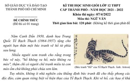 'Mình chuẩn bị kỹ thời sự, đề học sinh giỏi lớp 12 lại ra: Có nên chọn cho mình một lối đi riêng'