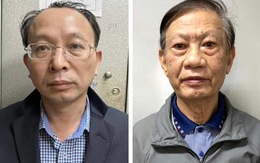 Hai cựu vụ trưởng Bộ Y tế sai phạm gì trong vụ mua thuốc cúm H5N1?