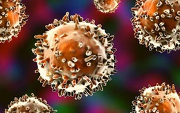Tìm thấy bằng chứng về tế bào miễn dịch bí ẩn ở con người