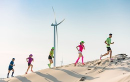 Coteccons Quảng Bình Marathon 2022 chạy xuyên cánh đồng điện gió lớn nhất Việt Nam
