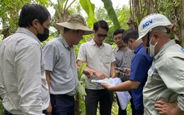 Bàn giao thêm 70ha đất sạch làm dự án sân bay Long Thành