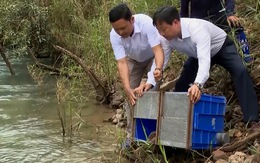 Đưa động vật hoang dã từ Hà Nội về thả tại Vườn quốc gia Phong Nha - Kẻ Bàng