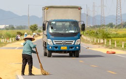 Người dân phơi thóc trên quốc lộ vì ‘không còn chỗ nào phơi’