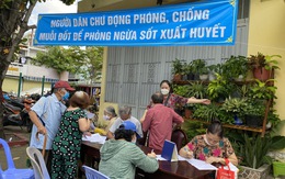 TP.HCM đề nghị xử phạt trường hợp vi phạm phòng sốt xuất huyết