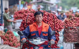 Vụ tung tin sai sự thật về vải thiều: Công an tỉnh Bắc Giang vào cuộc