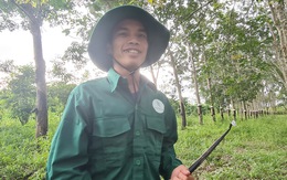 125 năm cao su 'cho vàng' ở Việt Nam - Kỳ cuối: Bản làng trù phú bên tán cao su