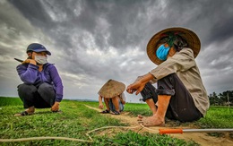 'Nỏ ai biết vì sao cánh đồng làng tôi lại bị trời đánh nhiều thế mô'