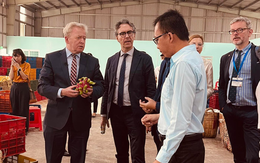 Thương mại nông sản Việt Nam - EU sẽ còn tăng trưởng