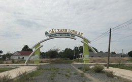 Bắt giam 2 lãnh đạo dự án đất đai lừa đảo tại Long An