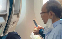Tân Sơn Nhất tạm đình chỉ nhân viên soi chiếu để lọt dao lên máy bay