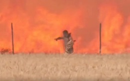 Video: Người đàn ông thoát chết kịch tính trên cánh đồng rực lửa ở Tây Ban Nha