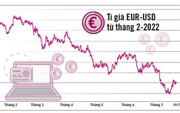 Tương lai khó đoán của đồng euro