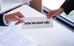 2 phó giám đốc sở là vợ chồng cùng làm đơn xin nghỉ việc