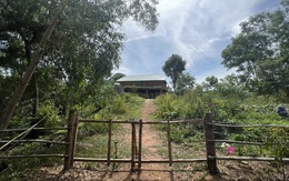 Vợ chánh án huyện ở Bình Định đã tháo dỡ công trình lấn chiếm đất rừng phòng hộ
