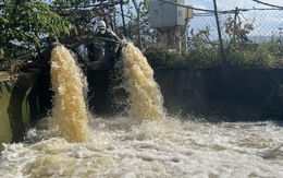 1.100ha lúa được cứu sau chỉ đạo khẩn của chủ tịch tỉnh yêu cầu thủy điện xả nước