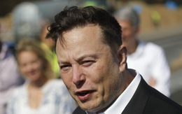 Tỉ phú Musk khoe khéo có con song sinh là 'chống suy giảm dân số'