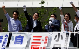 Nhật Bản nối lại hoạt động tranh cử Thượng viện