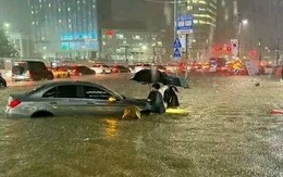 Xe sang và siêu xe 'đắp chiếu' kỷ lục sau trận lụt tại khu nhà giàu Gangnam ở Seoul