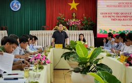 'Vụ xây dựng gần 500 căn nhà không phép tại Đồng Nai là hiếm ở Việt Nam'