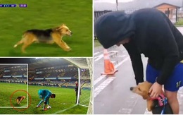 Chú chó vào sân tặng 'quà... bốc mùi' cho thủ môn đội khách
