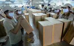 Đồ gỗ với nguy cơ bị trà trộn các bộ phận từ Trung Quốc
