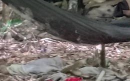Phát hiện hai bộ xương khô trên võng tại rừng Gia Lai